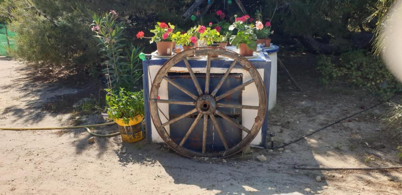 En Finca Las Dunas Dos Chalets Con Jacuzzis En Primera Linea De Playa , Uno De 4 Dormitorios Y Otro De 2 Dormitorios, Llama Al Seiscientos Veintisiete Cuatrocientos Diecisiete Trescientos Noventa Y Ocho Rota Extérieur photo