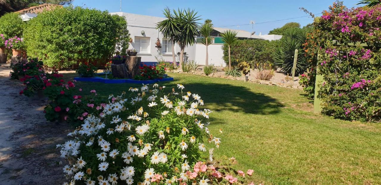 En Finca Las Dunas Dos Chalets Con Jacuzzis En Primera Linea De Playa , Uno De 4 Dormitorios Y Otro De 2 Dormitorios, Llama Al Seiscientos Veintisiete Cuatrocientos Diecisiete Trescientos Noventa Y Ocho Rota Extérieur photo