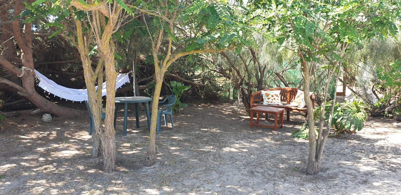 En Finca Las Dunas Dos Chalets Con Jacuzzis En Primera Linea De Playa , Uno De 4 Dormitorios Y Otro De 2 Dormitorios, Llama Al Seiscientos Veintisiete Cuatrocientos Diecisiete Trescientos Noventa Y Ocho Rota Extérieur photo