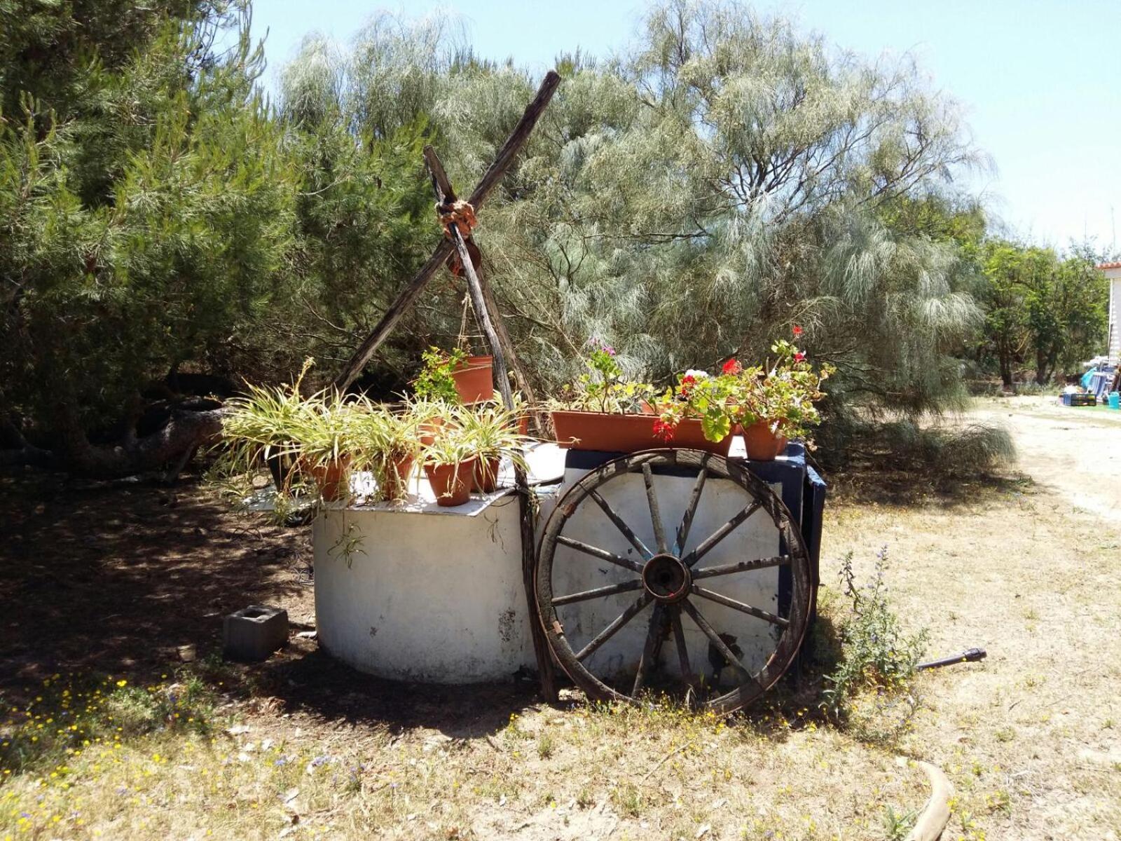 En Finca Las Dunas Dos Chalets Con Jacuzzis En Primera Linea De Playa , Uno De 4 Dormitorios Y Otro De 2 Dormitorios, Llama Al Seiscientos Veintisiete Cuatrocientos Diecisiete Trescientos Noventa Y Ocho Rota Extérieur photo