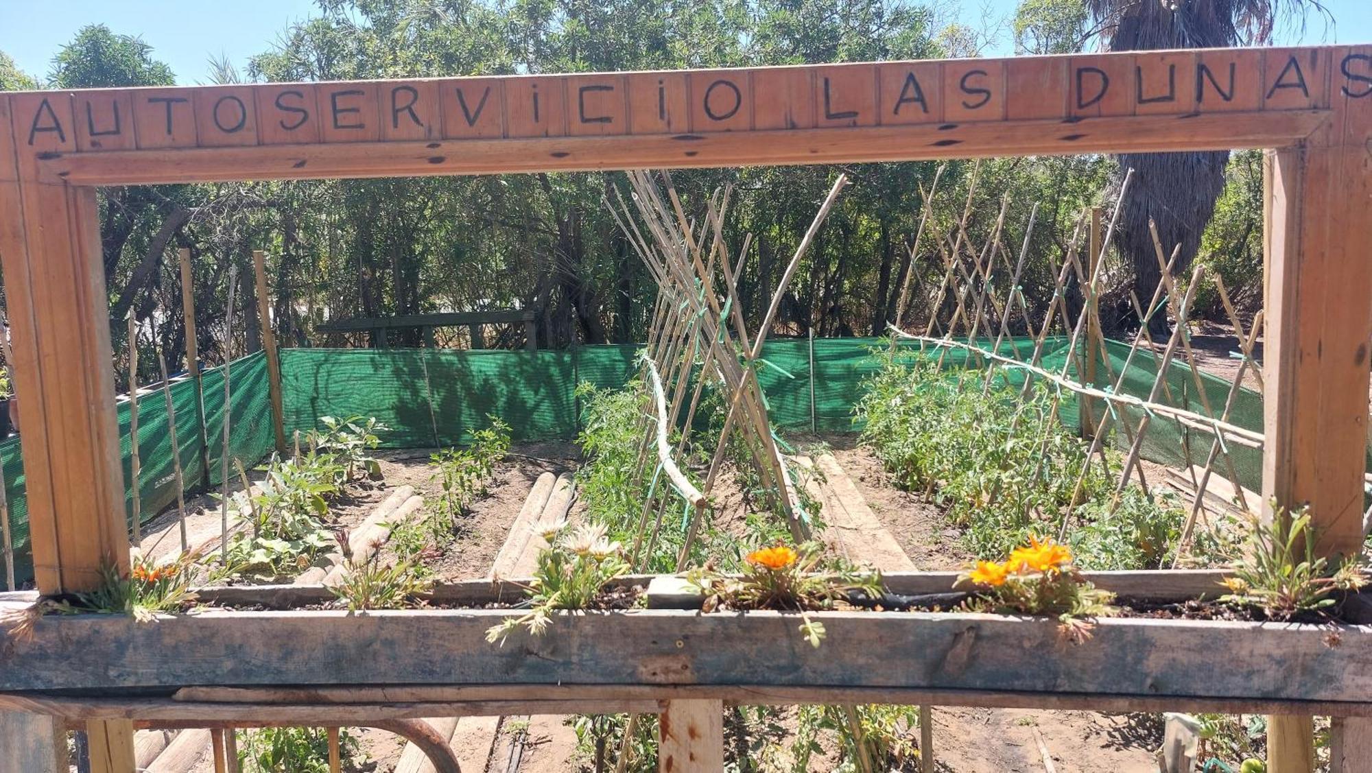 En Finca Las Dunas Dos Chalets Con Jacuzzis En Primera Linea De Playa , Uno De 4 Dormitorios Y Otro De 2 Dormitorios, Llama Al Seiscientos Veintisiete Cuatrocientos Diecisiete Trescientos Noventa Y Ocho Rota Chambre photo