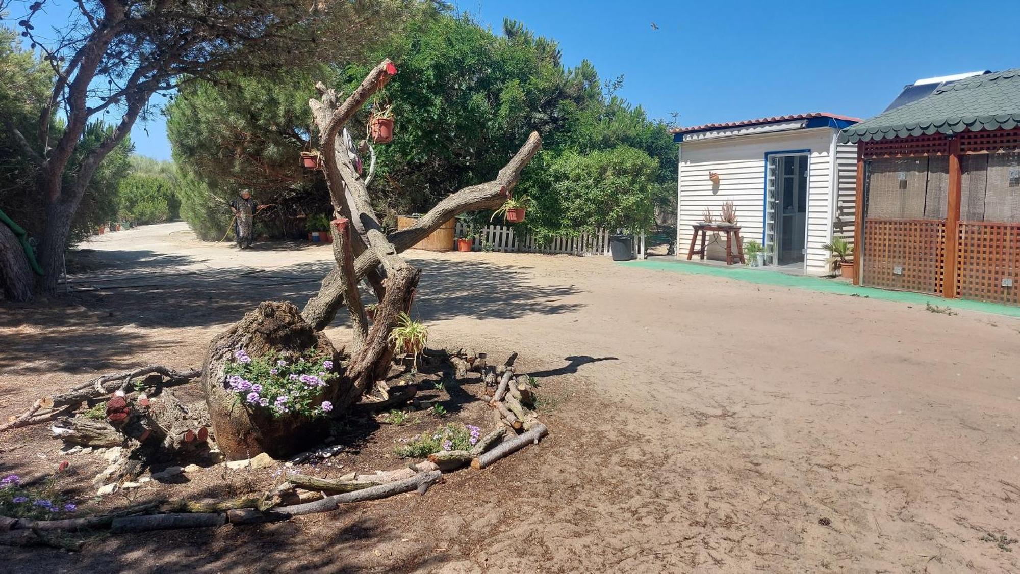 En Finca Las Dunas Dos Chalets Con Jacuzzis En Primera Linea De Playa , Uno De 4 Dormitorios Y Otro De 2 Dormitorios, Llama Al Seiscientos Veintisiete Cuatrocientos Diecisiete Trescientos Noventa Y Ocho Rota Extérieur photo