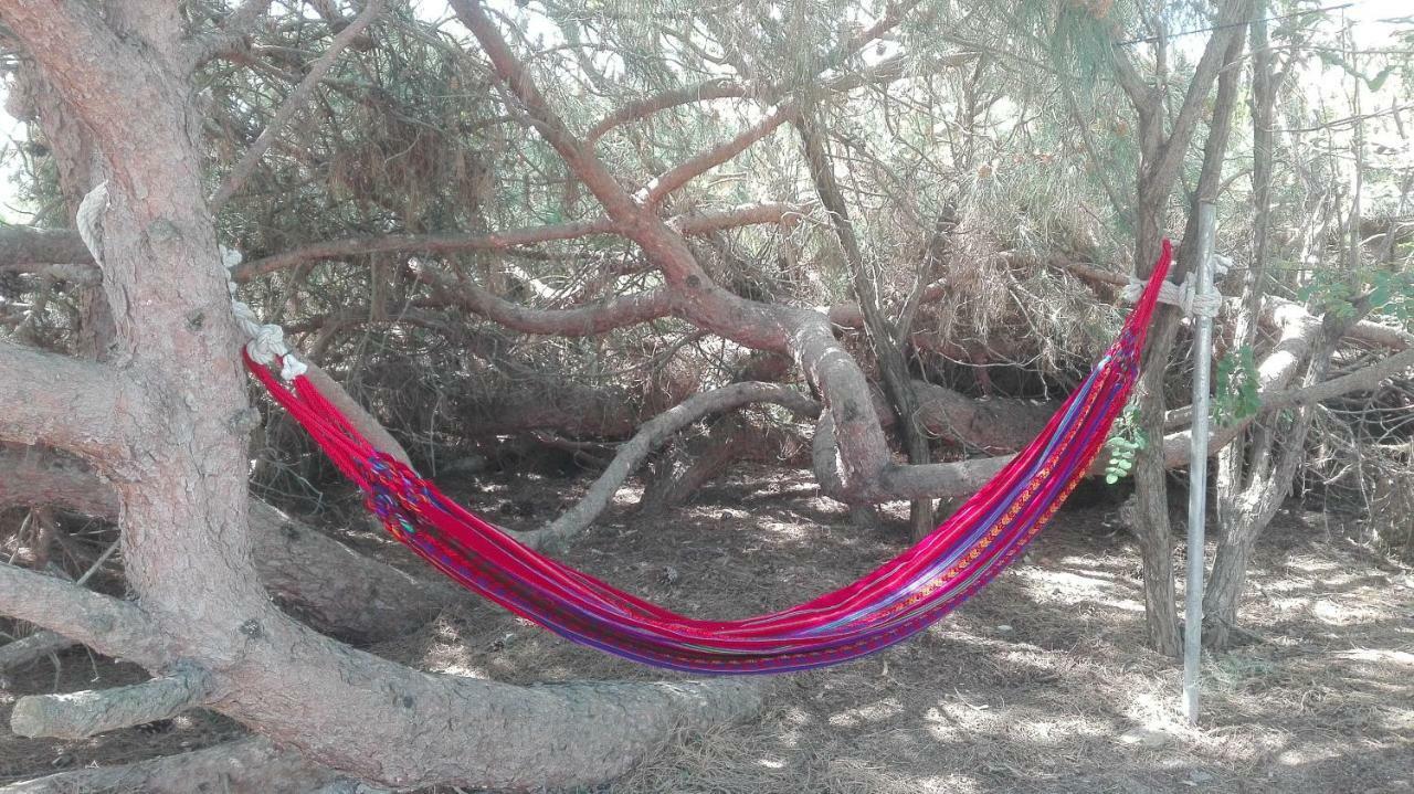 En Finca Las Dunas Dos Chalets Con Jacuzzis En Primera Linea De Playa , Uno De 4 Dormitorios Y Otro De 2 Dormitorios, Llama Al Seiscientos Veintisiete Cuatrocientos Diecisiete Trescientos Noventa Y Ocho Rota Extérieur photo